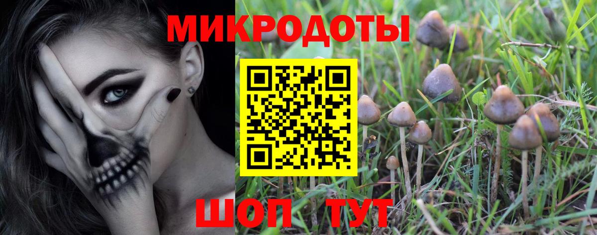 Псилоцибиновые грибы прущие грибы  Вход с VPN  Вязьма 