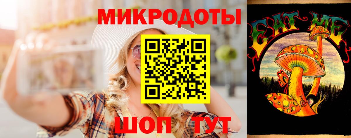 Галлюциногенные грибы Psilocybine cubensis Вязьма